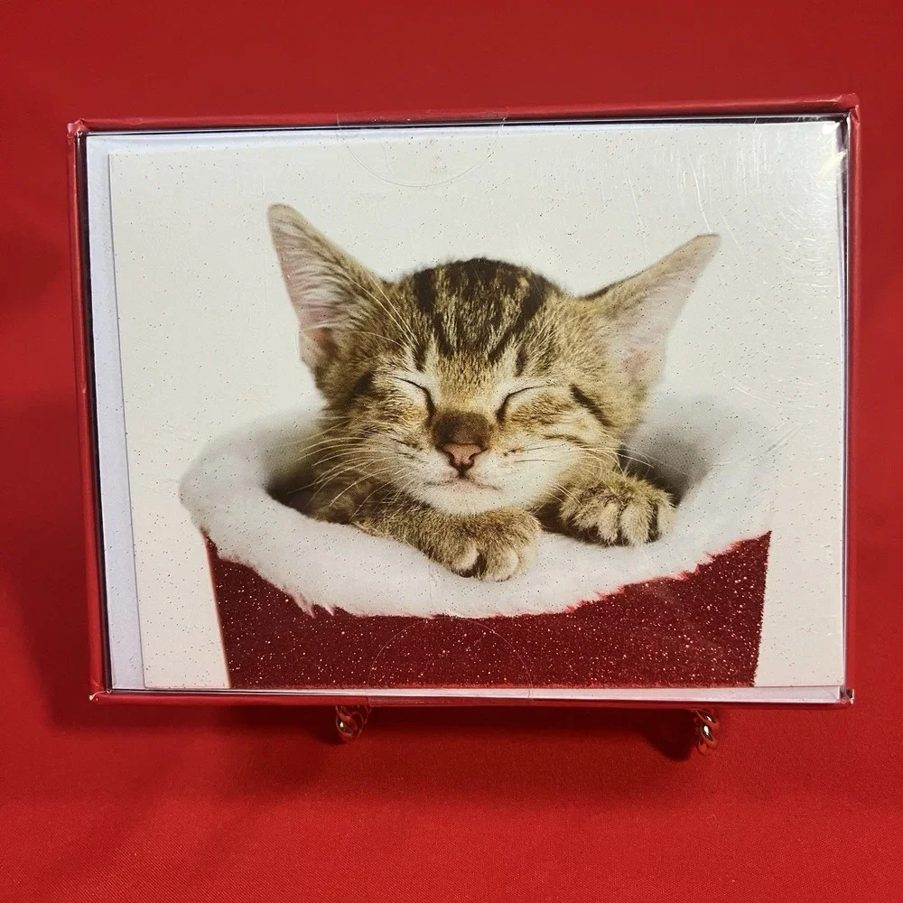Design Christmas Cards / Kitten In Stocking / Glitter / Box of 20 / Sleeping Cat
